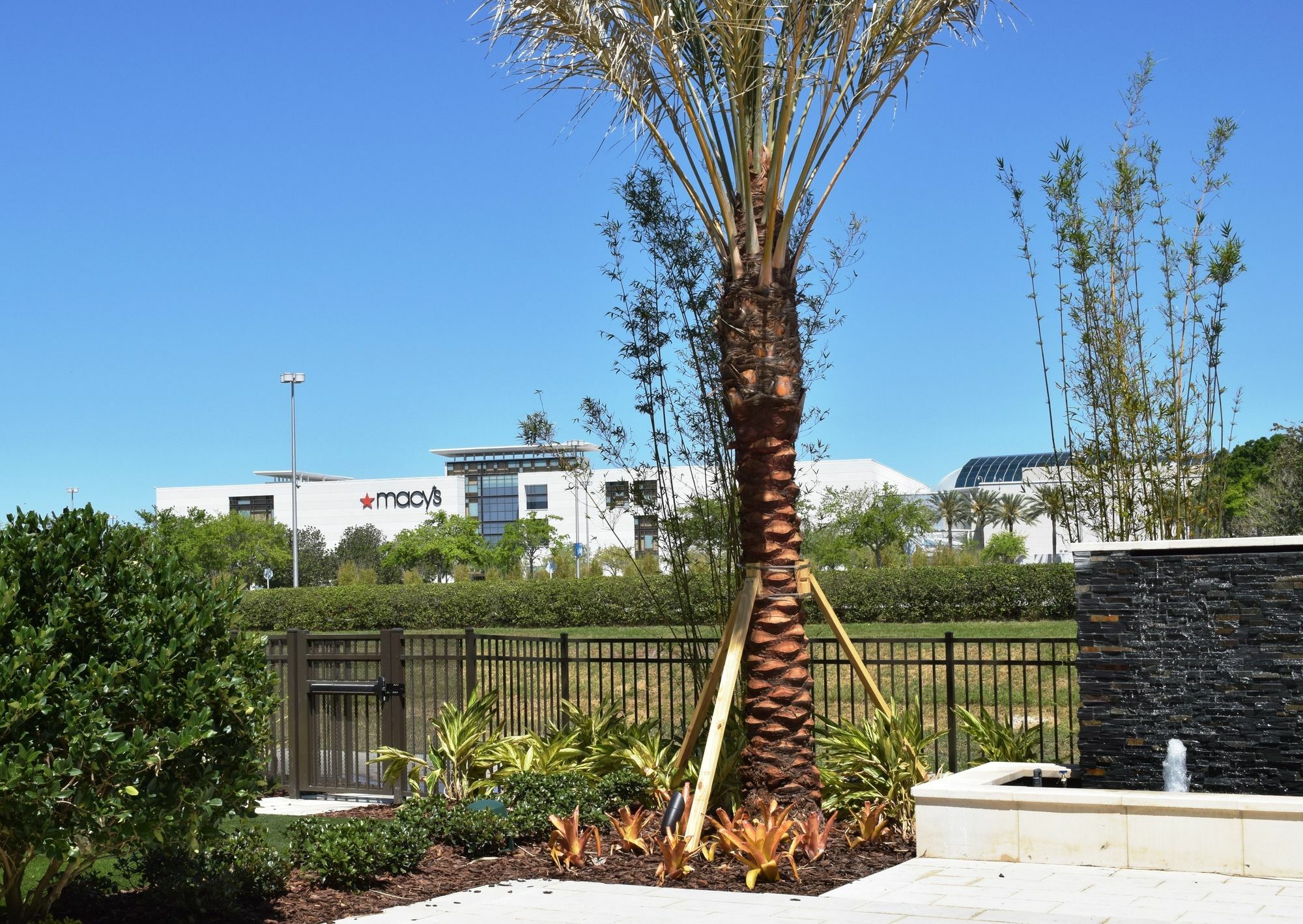 Springhill Suites By Marriott Orlando At Millenia Eksteriør bilde